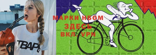 СК Алексин