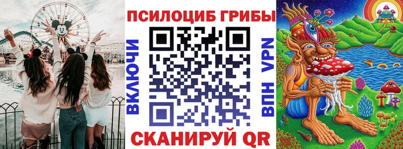 купить закладку  Наволоки  Псилоцибиновые грибы ЛСД 